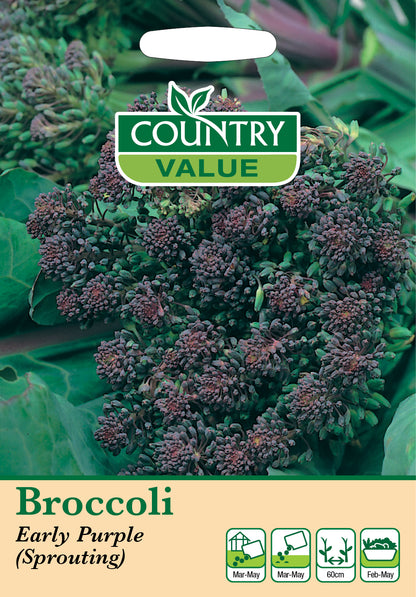 Broccoli Early Purple (Sprouting) 400 Seeds