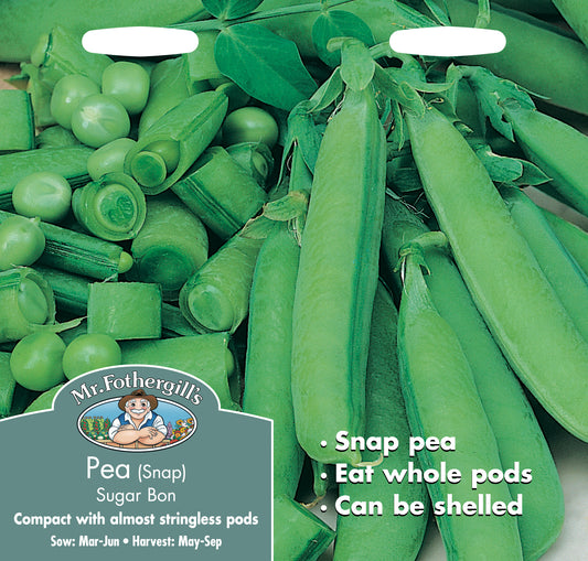 Pea (Snap) Sugar Bon 300 seeds