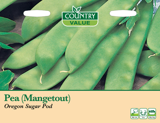 Pea (Mangetout) Oregon Sugar Pod 60 Seeds