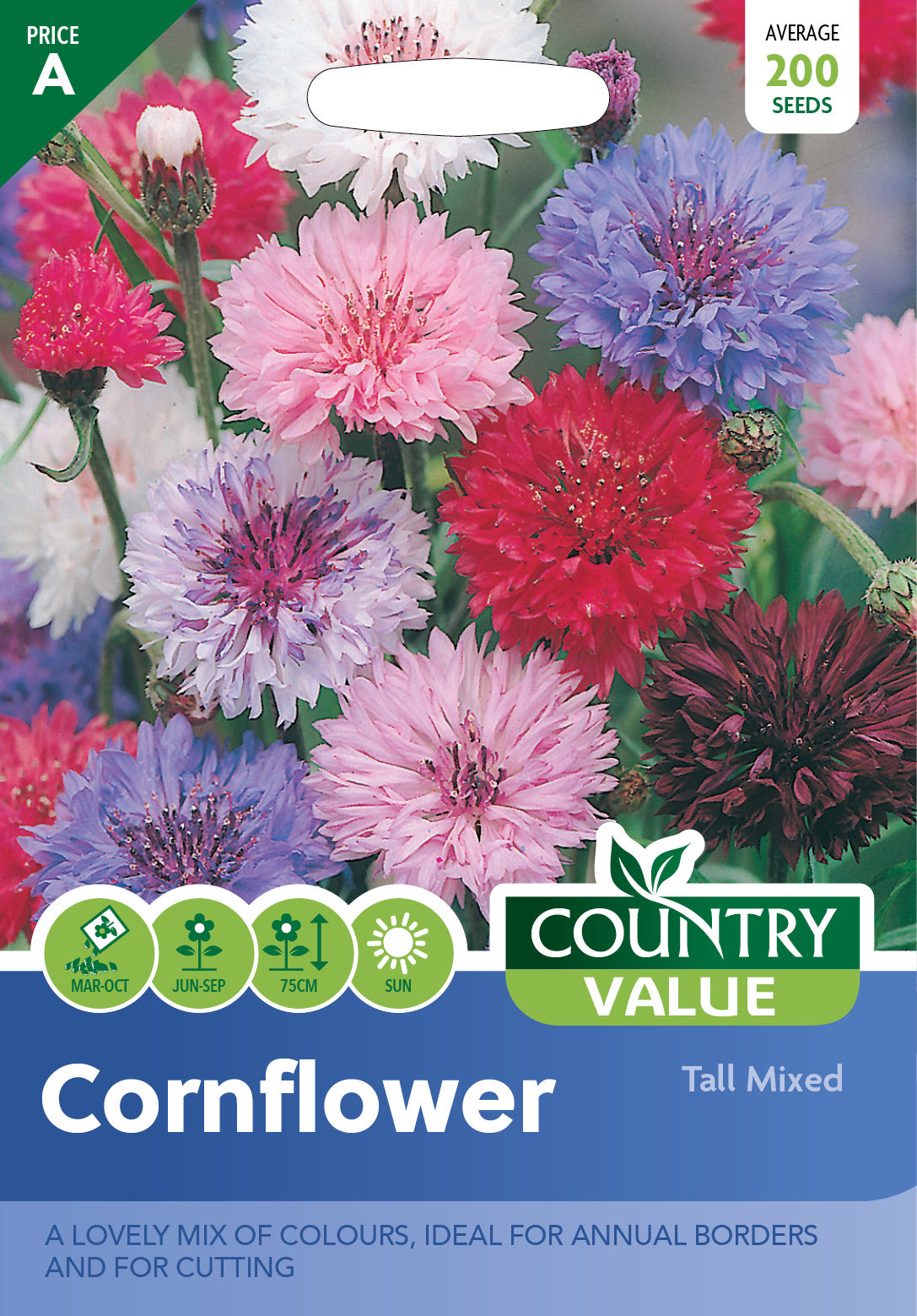 Cornflower Tall Mixed 200 Seeds – Meldon Seeds