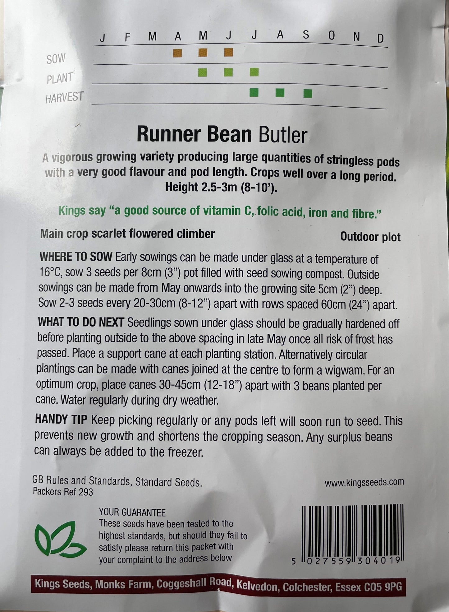 Runner Bean Butler Stringless 45 Seeds