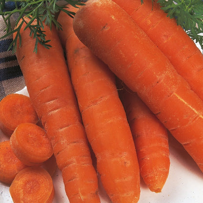 Carrot Autumn King 2000 Seeds