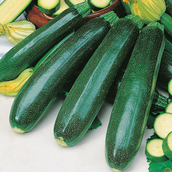 Courgette Zucchini 20 Seeds