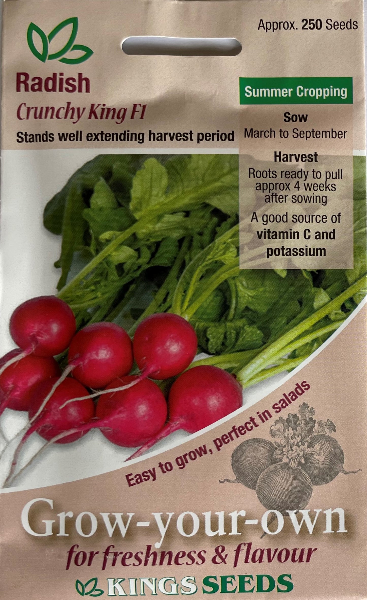 Radish Crunchy King F1 250 Seeds – Meldon Seeds