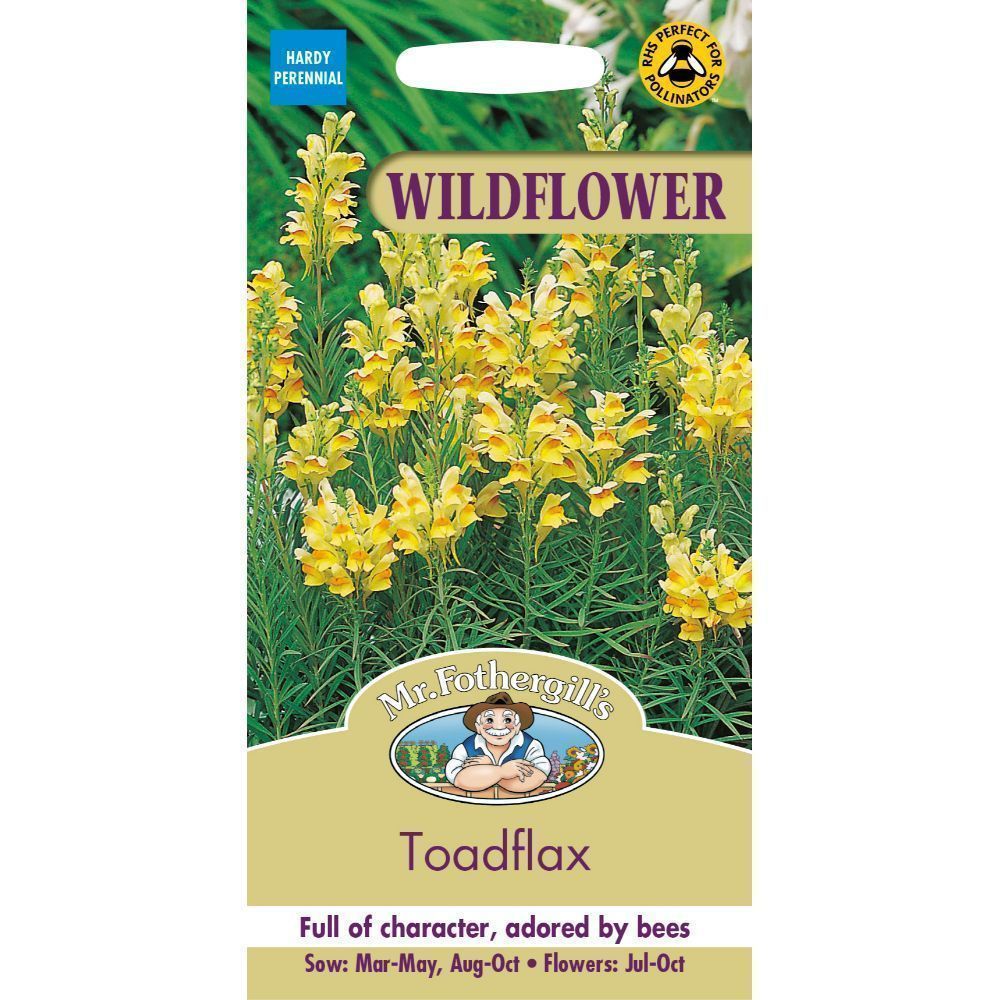 Wildflowers Toadflax 1000 Seeds – Meldon Seeds