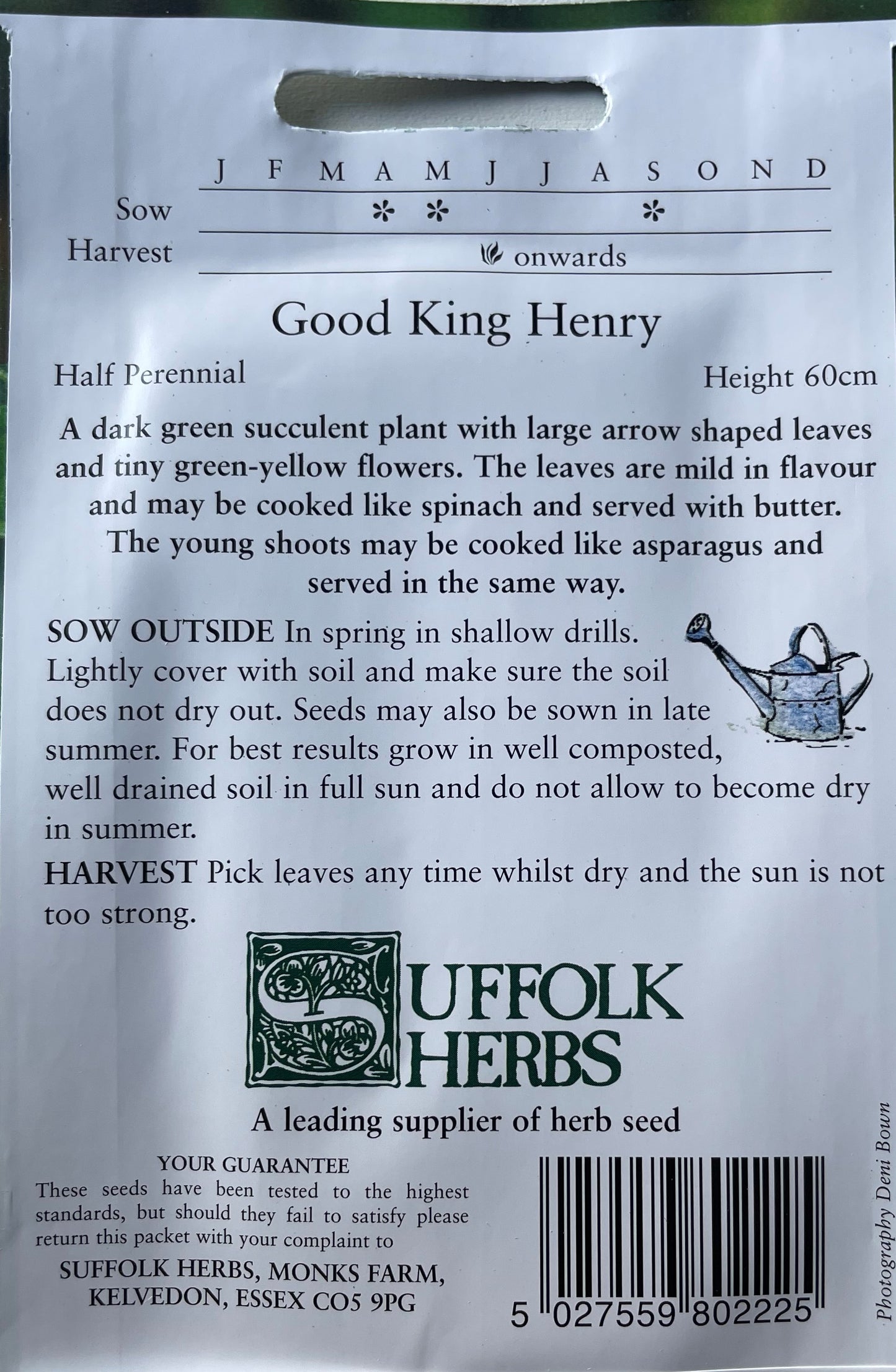 Good King Henry 200 Seeds